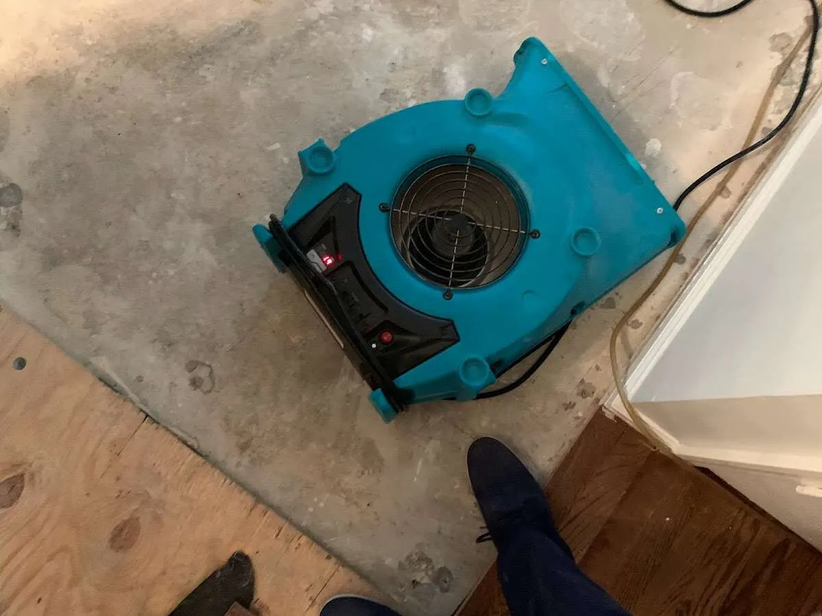 Air mover drying subfloor during Leak Detection & Repair in Triana