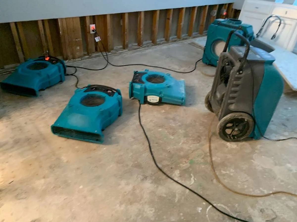 Water Damage Restoration services in Triana, AL